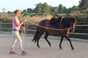 Ride With Feeling de Paula Ohlin