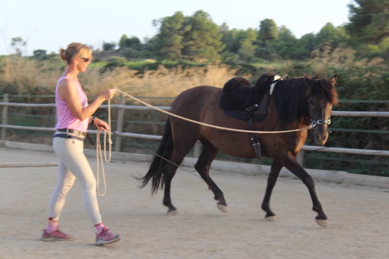 Ride With Feeling de Paula Ohlin