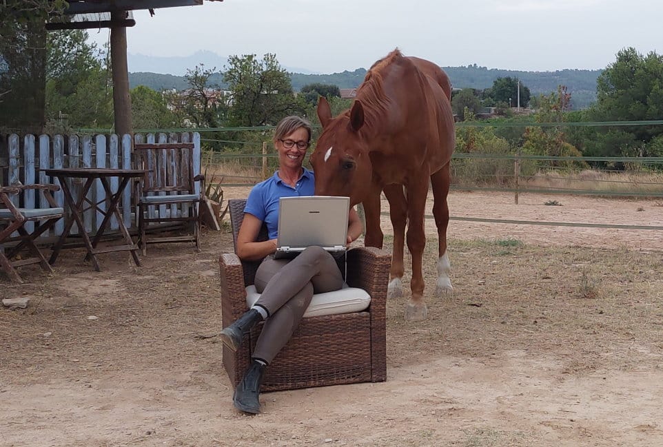 consultoría online, webinars y eventos y clases online en directo (de equitación, de trabajo pie a tierra con caballo o sin caballo, haciendo teoría/práctica para el jinete)