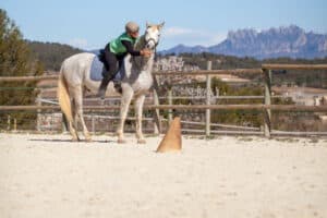 alumnos desde nivel de iniciación a nivel internacional de competición y trabajo con jinetes de las disciplinas de salto, completo, doma clásica, reining, doma vaquera y con jinetes que montan por ocio.