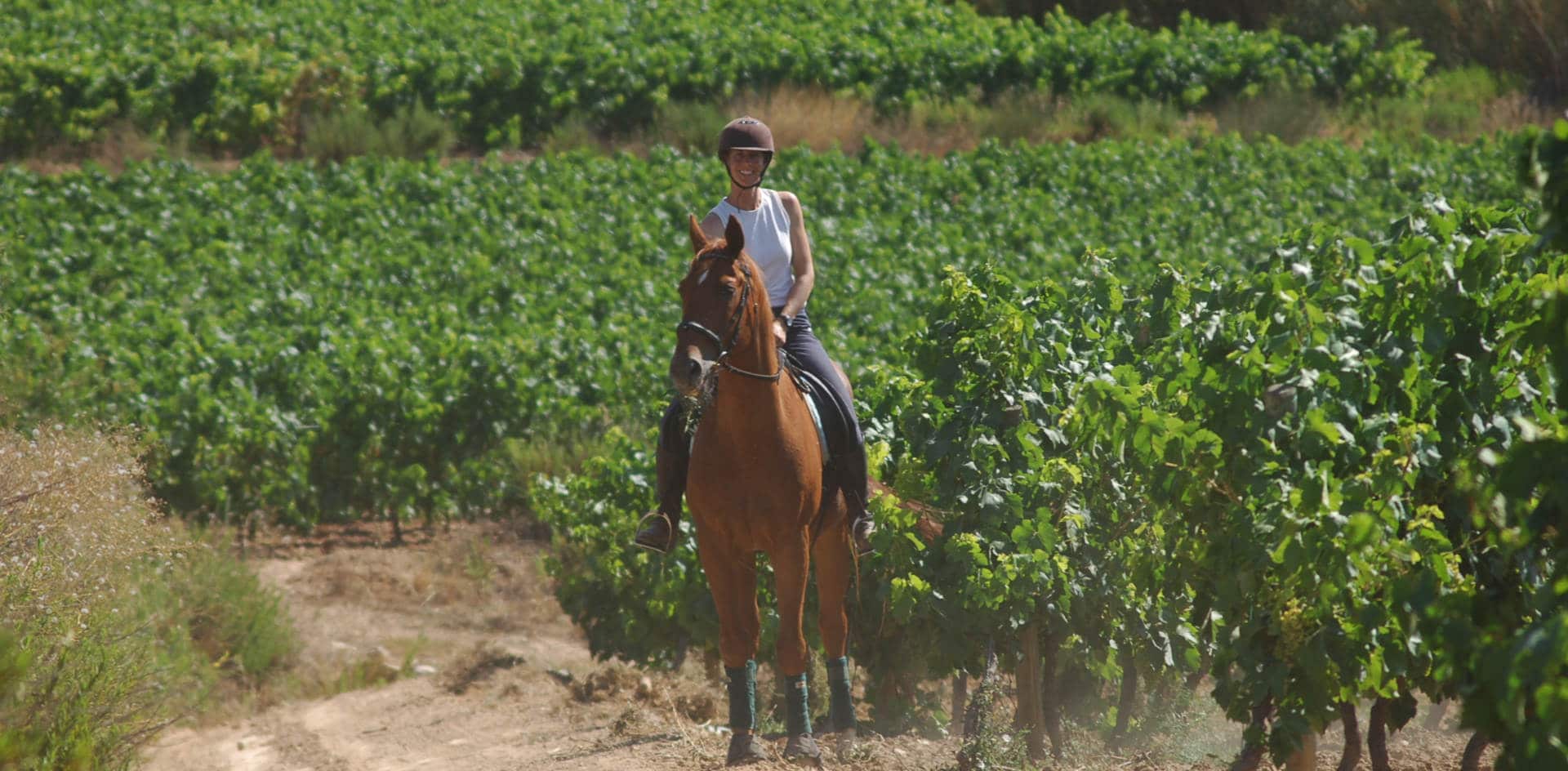Paula Ohlin, Instructora de Equitación Centrada Nivel II.  Técnico deportivo de Hípica Nivel 1 (RFHE). Fundadora de la metodología “Ride With Feeling”.