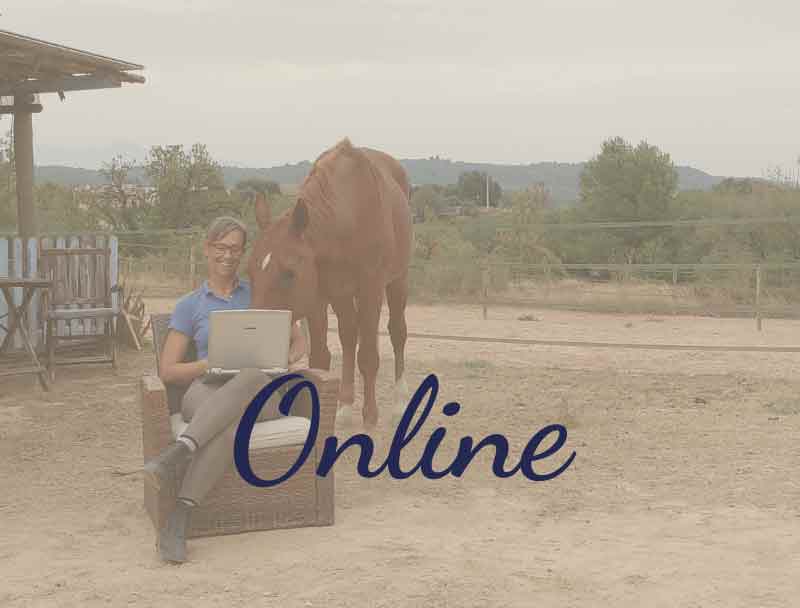 evento online